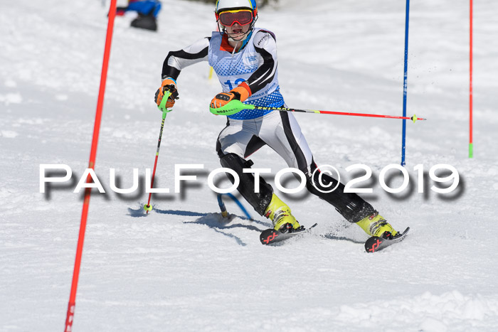 SVM U14/U16 Slalom 17.02.2019