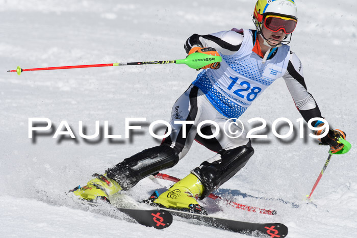 SVM U14/U16 Slalom 17.02.2019