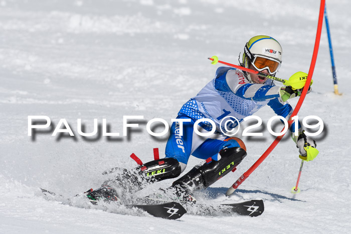 SVM U14/U16 Slalom 17.02.2019