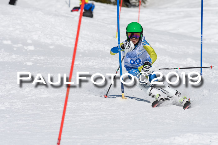 SVM U14/U16 Slalom 17.02.2019