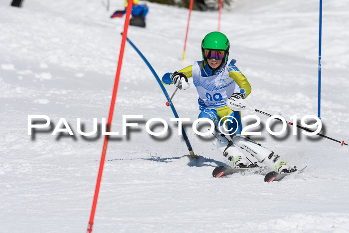 SVM U14/U16 Slalom 17.02.2019
