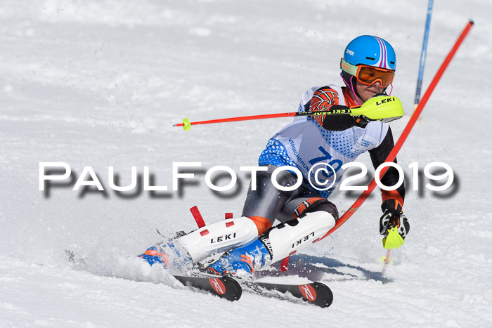 SVM U14/U16 Slalom 17.02.2019