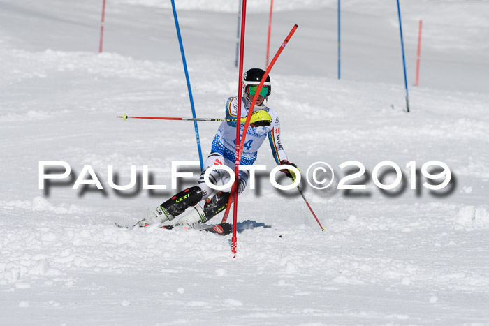 SVM U14/U16 Slalom 17.02.2019
