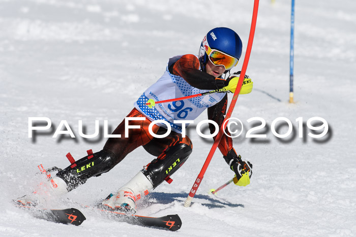SVM U14/U16 Slalom 17.02.2019