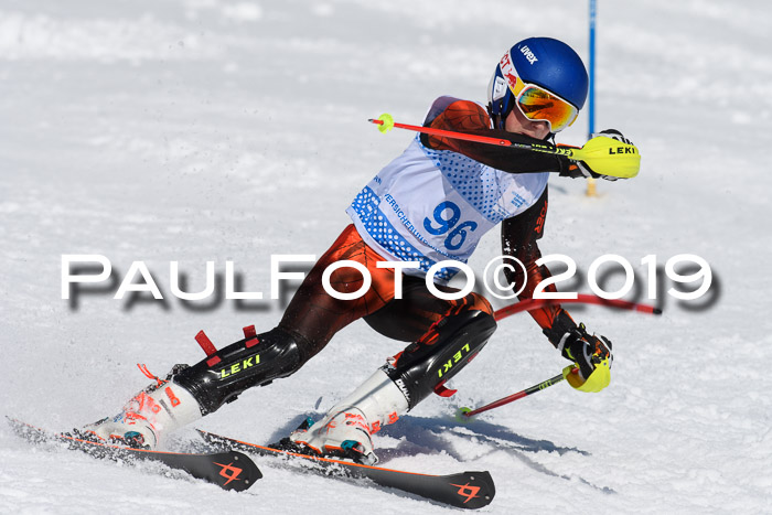 SVM U14/U16 Slalom 17.02.2019