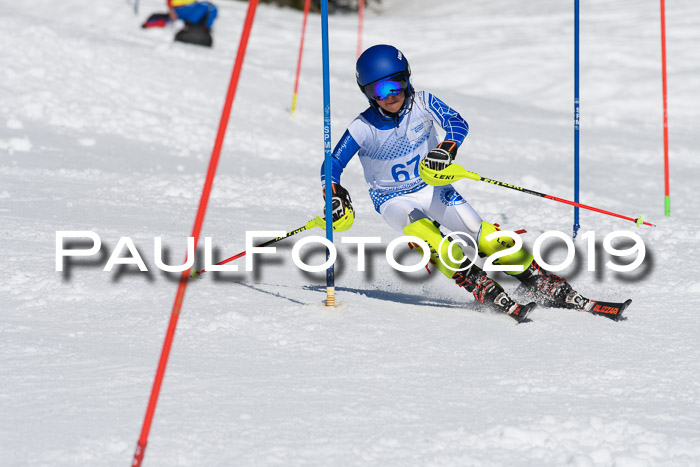 SVM U14/U16 Slalom 17.02.2019