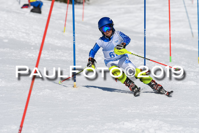 SVM U14/U16 Slalom 17.02.2019