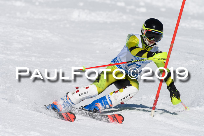 SVM U14/U16 Slalom 17.02.2019