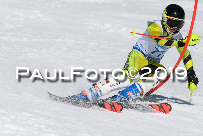 SVM U14/U16 Slalom 17.02.2019