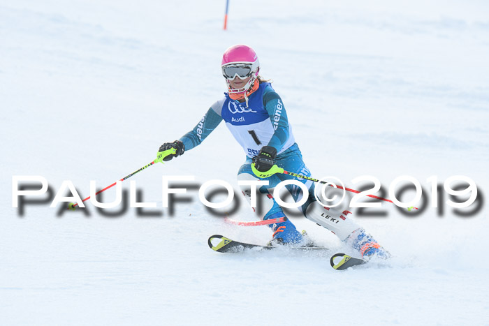 BSV Skiliga Bayern Schüler SL 23.02.2019