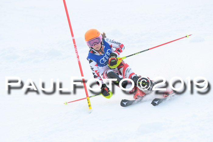 BSV Skiliga Bayern Schüler SL 23.02.2019