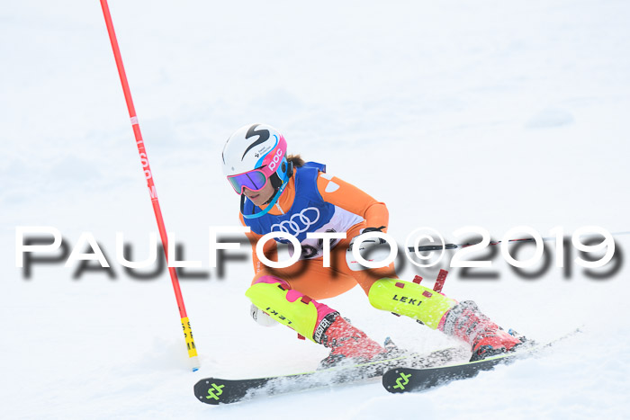 BSV Skiliga Bayern Schüler SL 23.02.2019