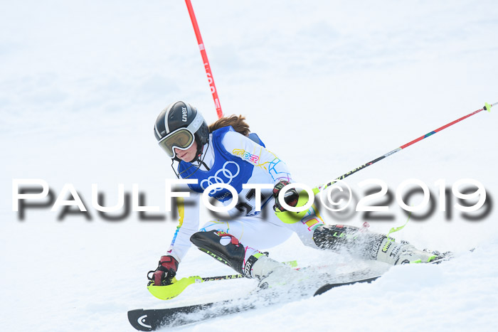 BSV Skiliga Bayern Schüler SL 23.02.2019