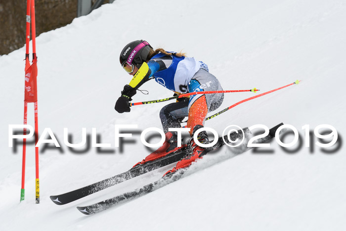 BSV Skiliga Bayern Schüler RS 24.02.2019