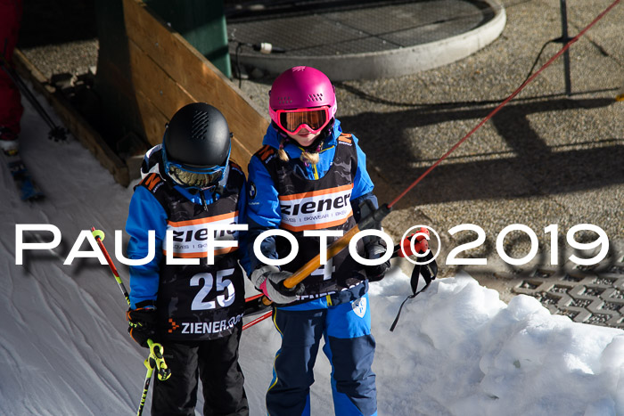 Ziener Cup WF, RS, 24.02.2019