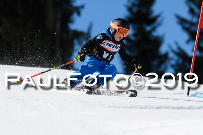 Ziener Cup WF, RS, 24.02.2019