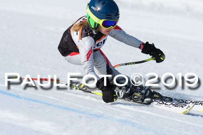 Ziener Cup WF, RS, 24.02.2019