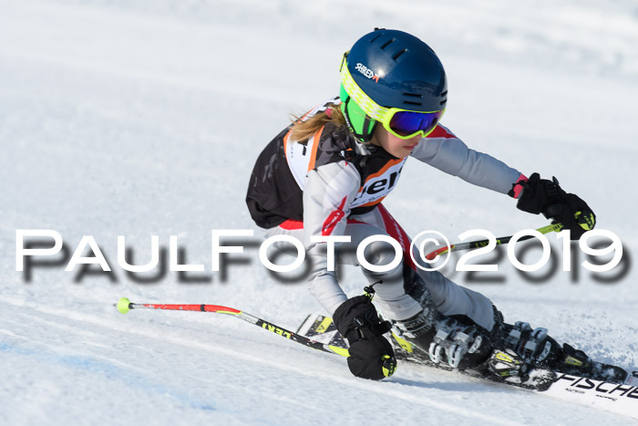 Ziener Cup WF, RS, 24.02.2019