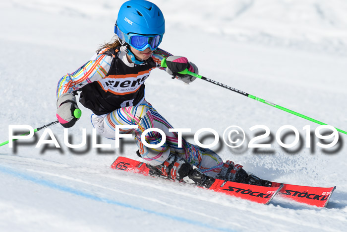 Ziener Cup WF, RS, 24.02.2019