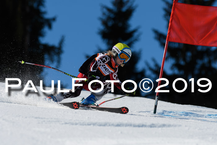 Ziener Cup WF, RS, 24.02.2019