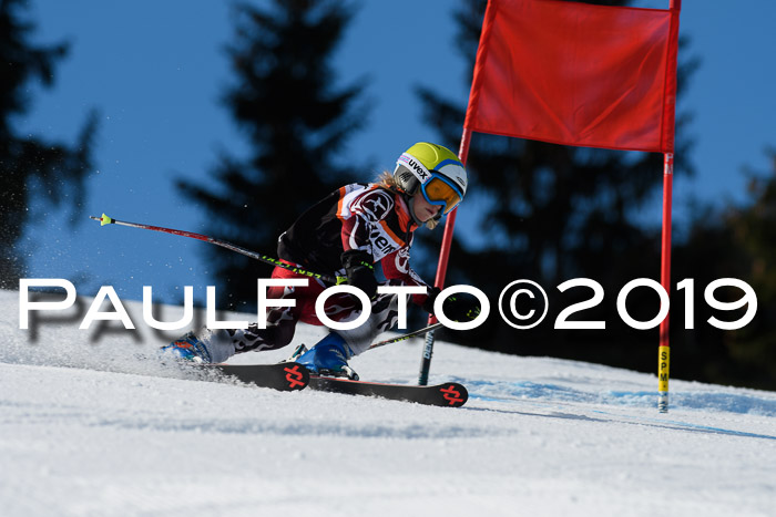 Ziener Cup WF, RS, 24.02.2019