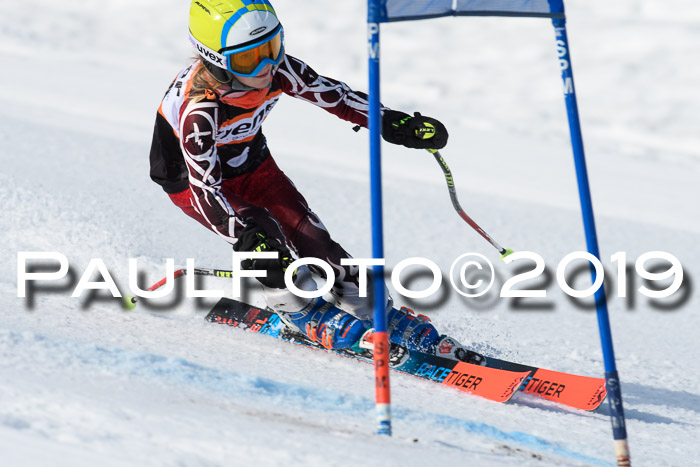 Ziener Cup WF, RS, 24.02.2019