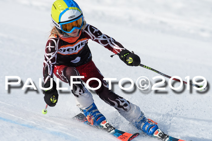 Ziener Cup WF, RS, 24.02.2019