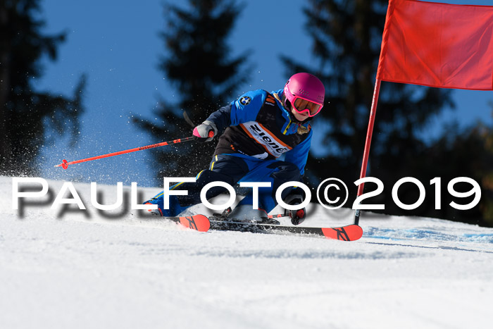 Ziener Cup WF, RS, 24.02.2019