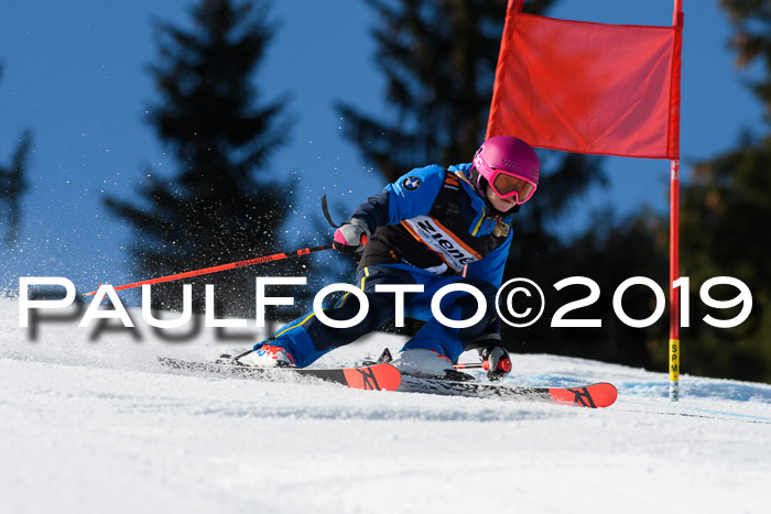 Ziener Cup WF, RS, 24.02.2019