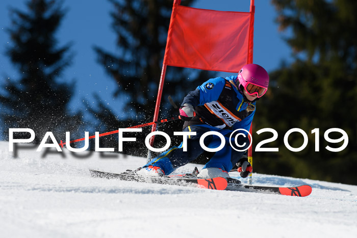 Ziener Cup WF, RS, 24.02.2019