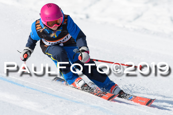 Ziener Cup WF, RS, 24.02.2019