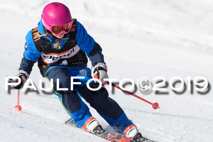 Ziener Cup WF, RS, 24.02.2019
