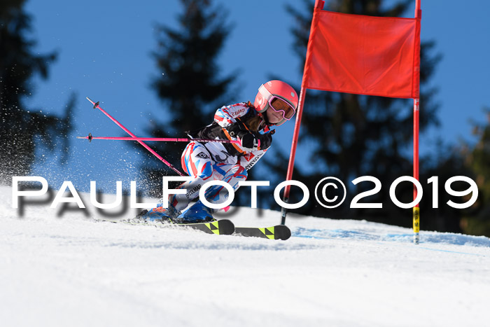 Ziener Cup WF, RS, 24.02.2019
