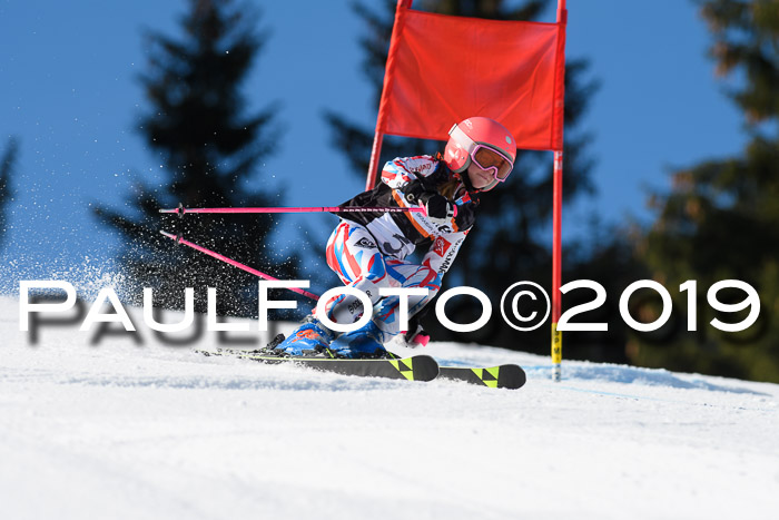 Ziener Cup WF, RS, 24.02.2019