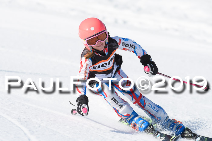 Ziener Cup WF, RS, 24.02.2019