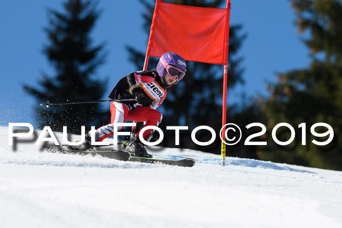 Ziener Cup WF, RS, 24.02.2019
