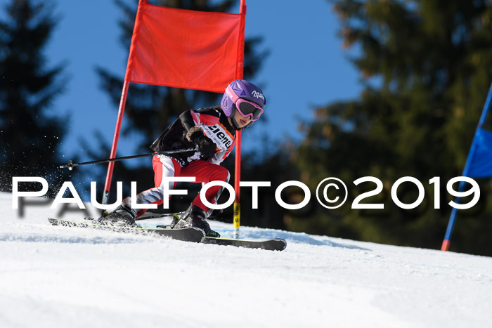 Ziener Cup WF, RS, 24.02.2019