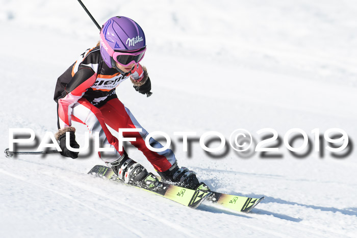Ziener Cup WF, RS, 24.02.2019