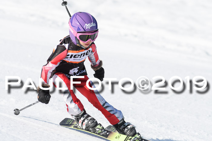 Ziener Cup WF, RS, 24.02.2019