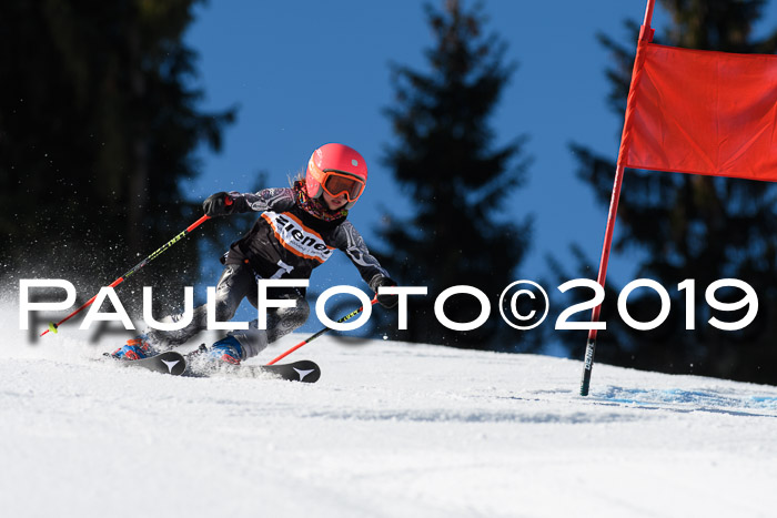 Ziener Cup WF, RS, 24.02.2019