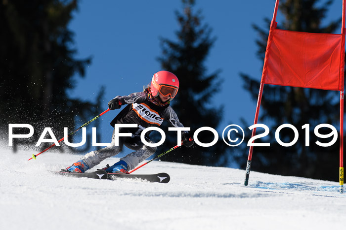 Ziener Cup WF, RS, 24.02.2019