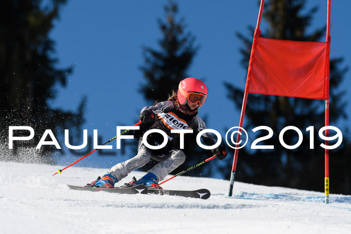 Ziener Cup WF, RS, 24.02.2019