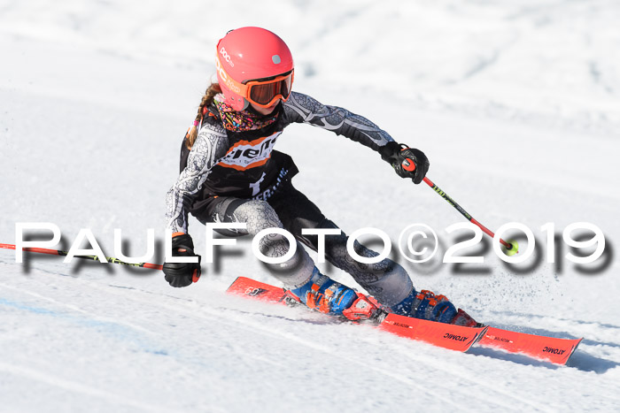 Ziener Cup WF, RS, 24.02.2019
