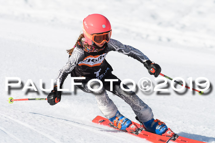 Ziener Cup WF, RS, 24.02.2019