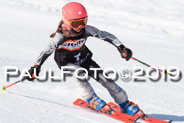 Ziener Cup WF, RS, 24.02.2019