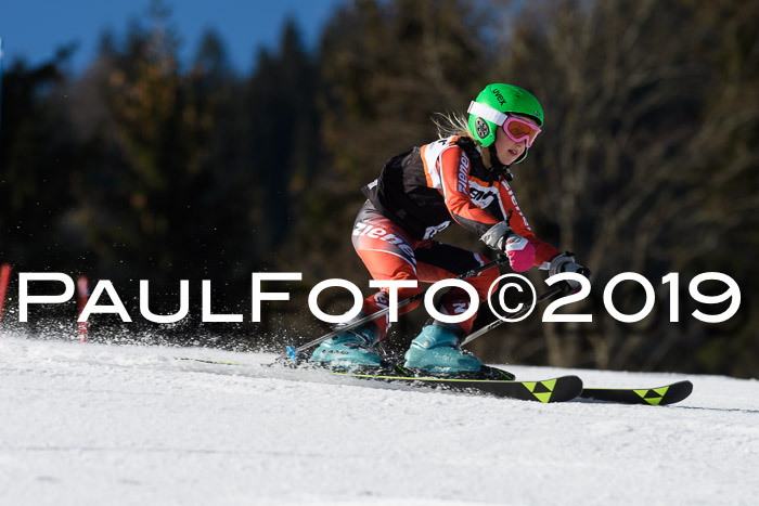 Ziener Cup WF, RS, 24.02.2019