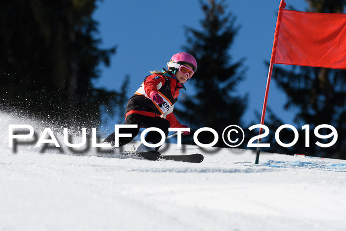 Ziener Cup WF, RS, 24.02.2019