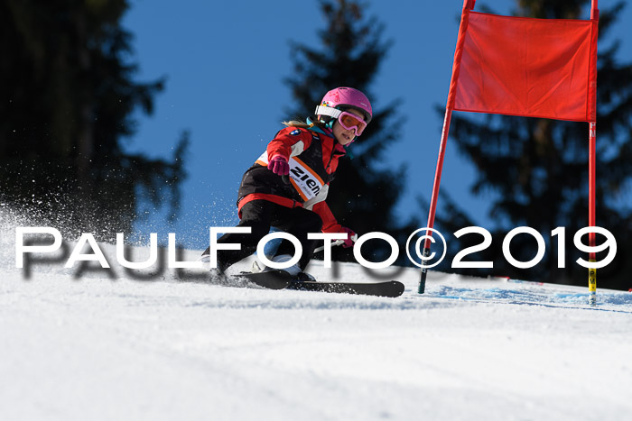 Ziener Cup WF, RS, 24.02.2019