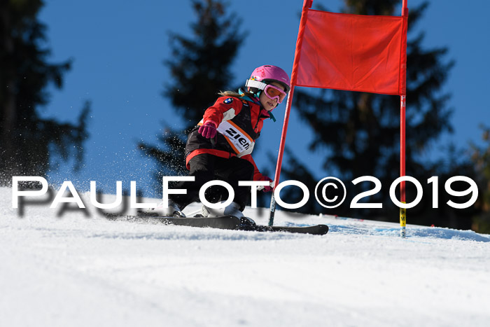 Ziener Cup WF, RS, 24.02.2019