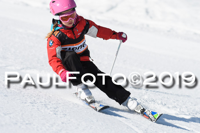 Ziener Cup WF, RS, 24.02.2019
